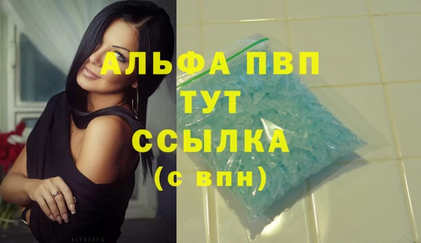 хмурый Аркадак