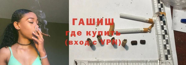 хмурый Аркадак