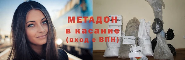 хмурый Аркадак