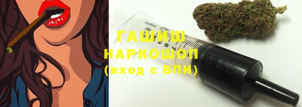 хмурый Аркадак