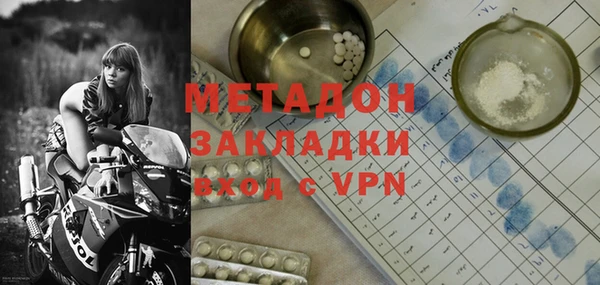 хмурый Аркадак