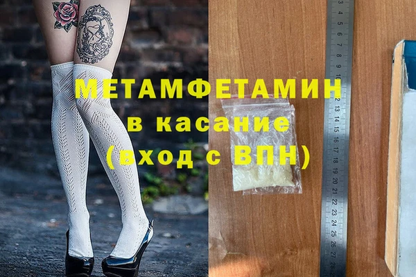 хмурый Аркадак