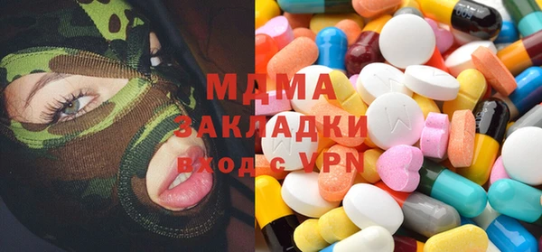 хмурый Аркадак