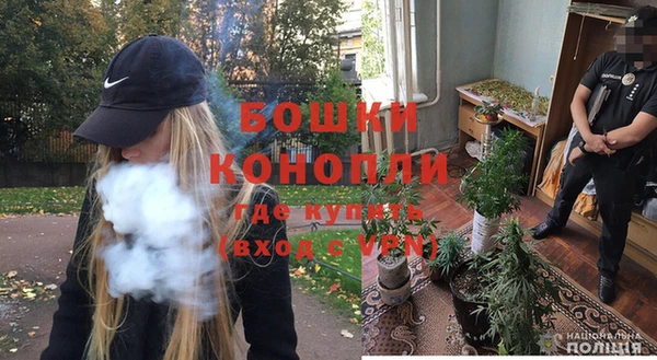 дурь Арсеньев