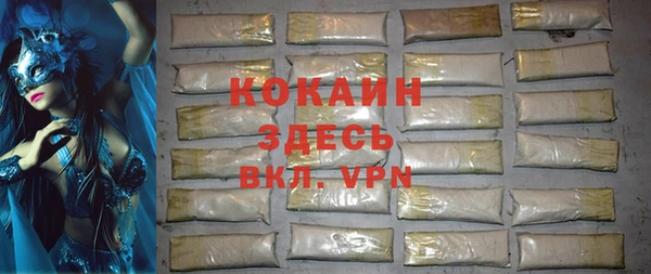хмурый Аркадак