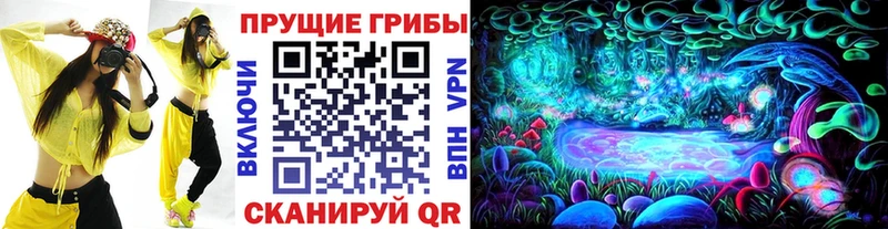 Галлюциногенные грибы Psilocybe  Окуловка 